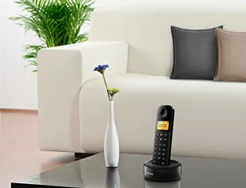 Philips D1602B/01 Duo 4
