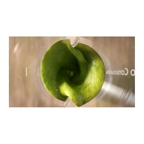 Philips HR2500/00 Edition 2