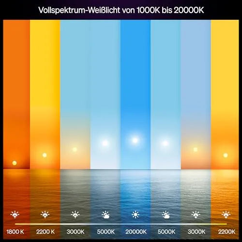 Philips Hue A60 5