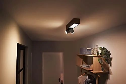 Philips Hue Centris 4