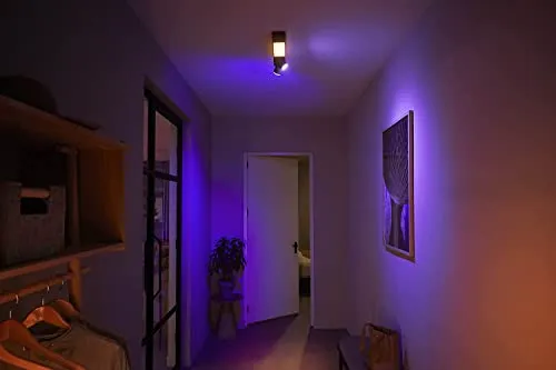 Philips Hue Centris 5