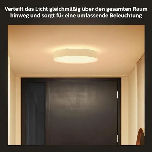 Philips Hue Enrave M 4
