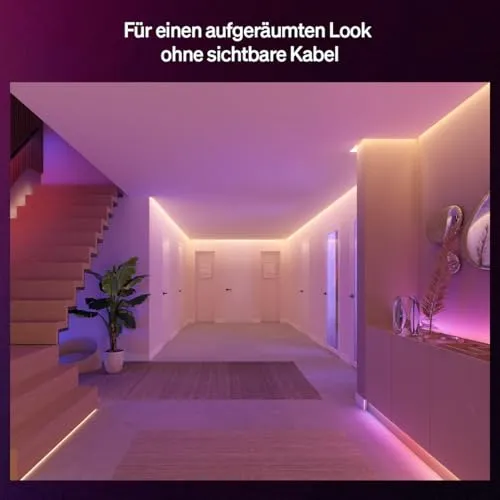 Philips Hue Flux 4