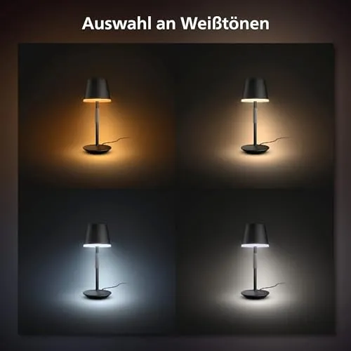 Philips Hue Go 5