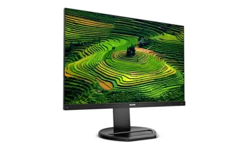Philips Monitor 2