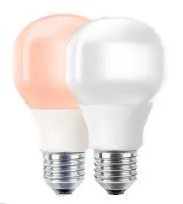 Philips G120 Soft White, 20W