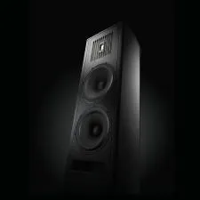 Piega Coax 30 2