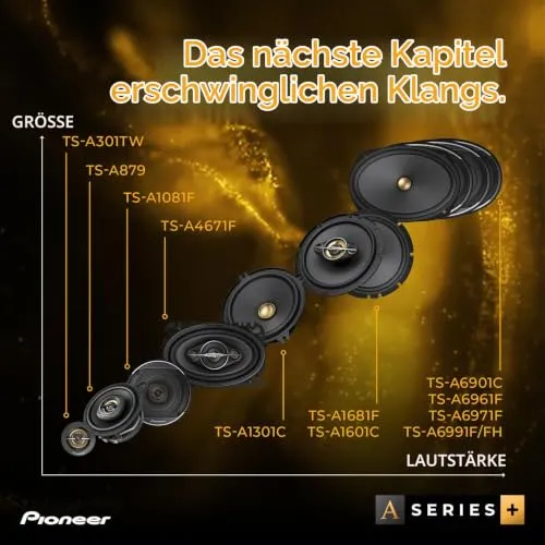 PIONEER TS-A4671F 6