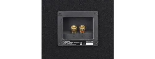 Pioneer TS-WX303 3
