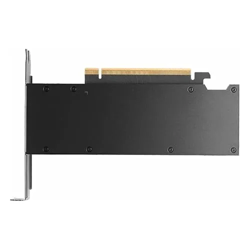 PNY Quadro RTX Pro 2000 5