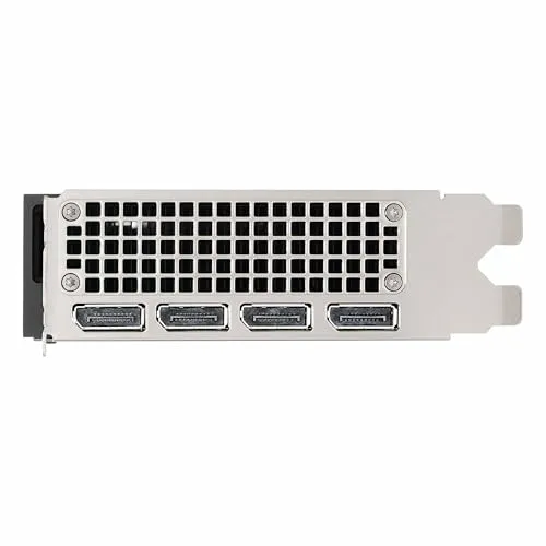 PNY RTX Pro 4500 5