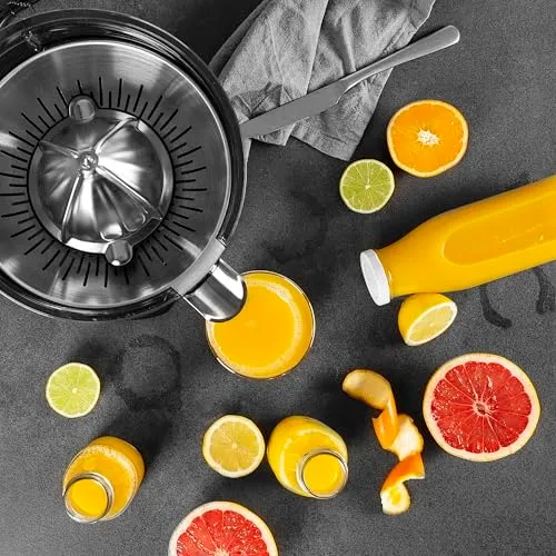 Princess Master Juicer Pro 4