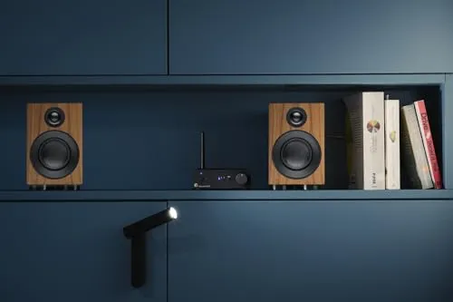 Pro-Ject Speaker Box 3 E Carbon 4