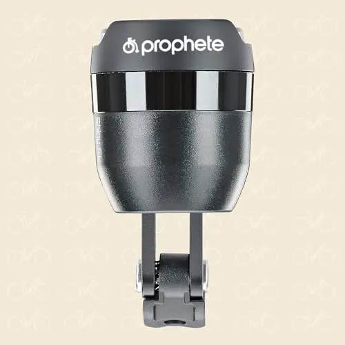 Prophete E-Bike 6