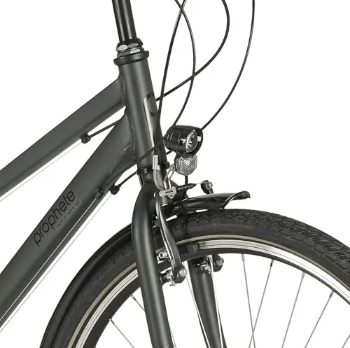 Prophete Entdecker 100 3