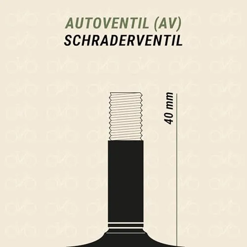 Prophete Fahrradschlauch 5