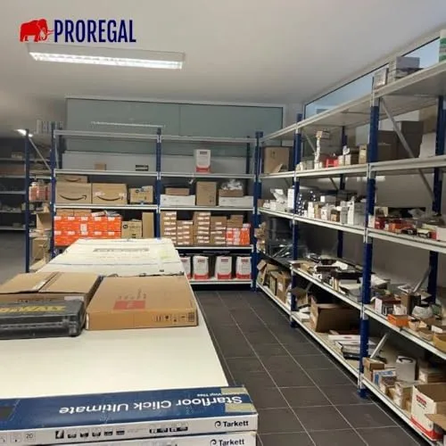 PROREGAL Maximus Pro 2