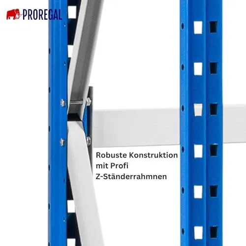 PROREGAL Maximus Pro 6