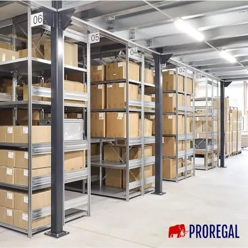 PROREGAL Silver Mamba 5