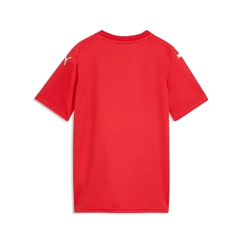 PUMA teamFINAL 2