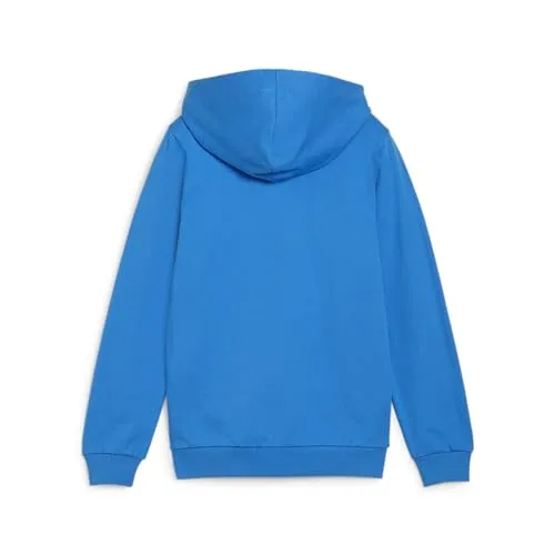 PUMA Teamgoal Casuals UC 2