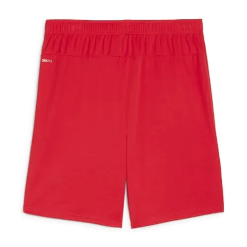 PUMA Teamgoal Jr UC 2