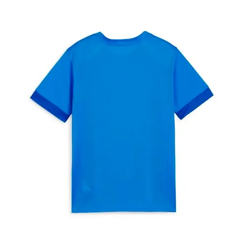 PUMA teamGOAL Matchday Jersey 2