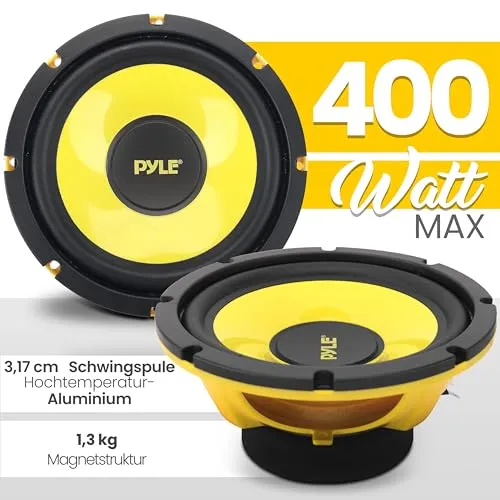 Pyle 8" Subwoofer 2