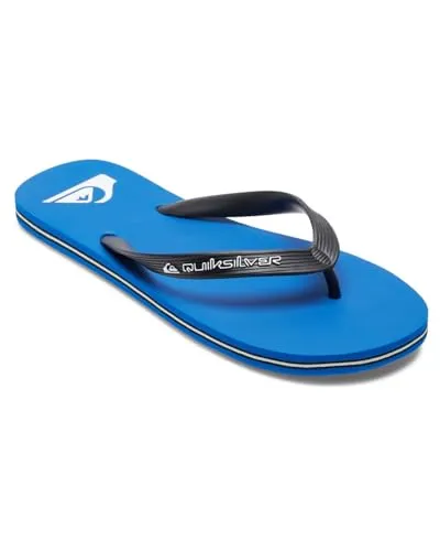 Quiksilver Molokai Core