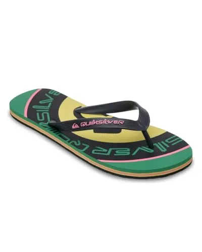 Quiksilver MOLOKAI SCREEN 2