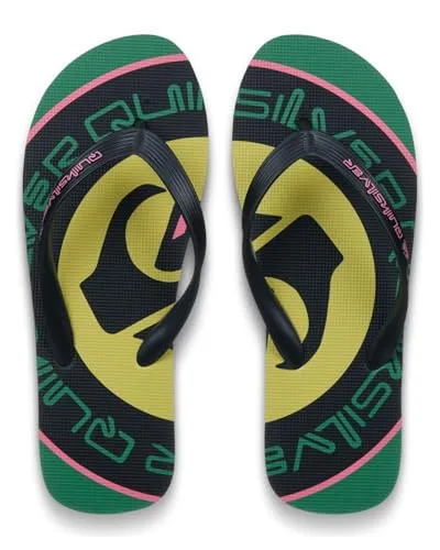 Quiksilver MOLOKAI SCREEN 5