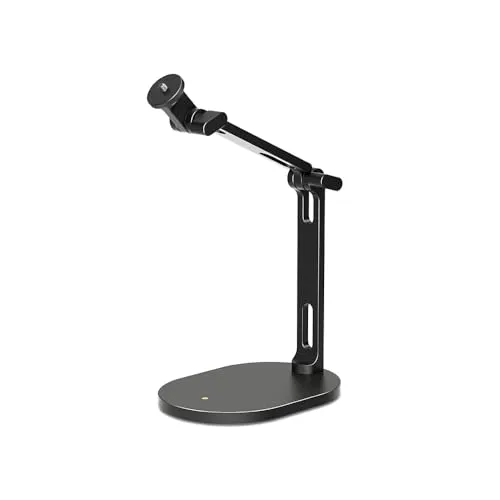 RØDE DS2