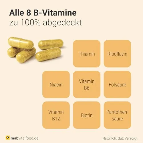 Raab Vitalfood Vitamin B-Komplex 4