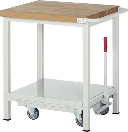 RAU Modell 8000 B
