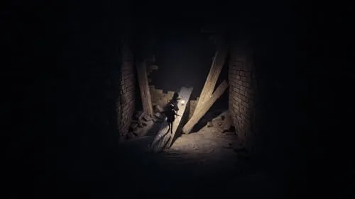 REANIMAL - PlayStation 5 2