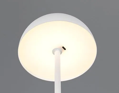RL LIVE YOUR LIGHT Munoz R5489 4