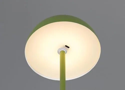 RL LIVE YOUR LIGHT Munoz R54891115 4