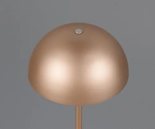 RL LIVE YOUR LIGHT Munoz R54891165 3