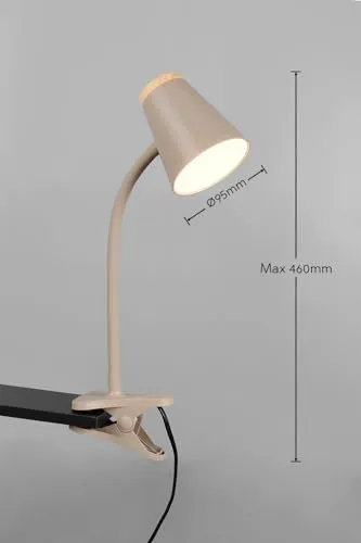 RL LIVE YOUR LIGHT Pongo R25831143 4