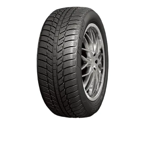 ROADX WH01