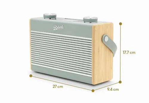 Roberts Radio Rambler Max 4