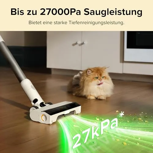 roborock H60 2