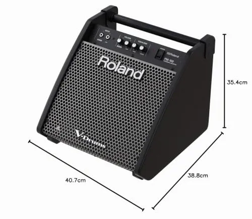 Roland PM-100 2