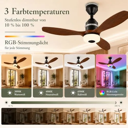 Rosnek Deckenventilator 2
