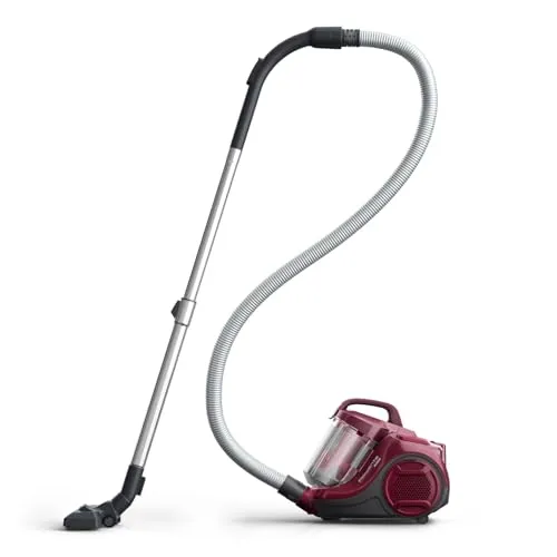 Rowenta RO2933EA 2