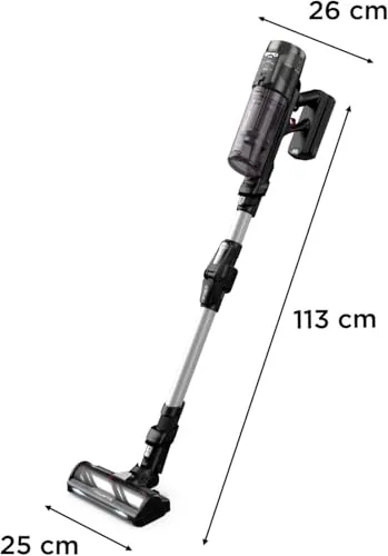 Rowenta X-Force Flex 13.60