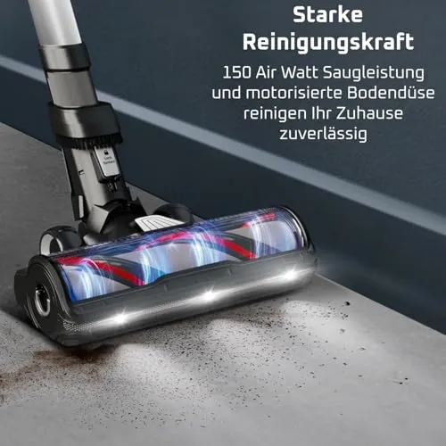 Rowenta X-Force Flex 13.60 3