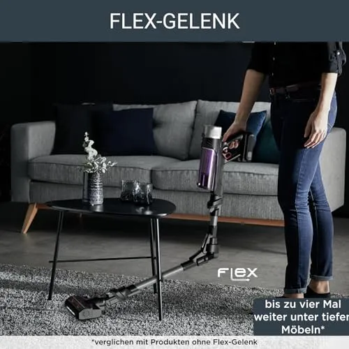 Rowenta X-Force Flex 9.60 2