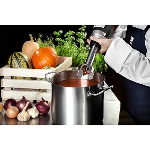 Royal Catering RCSM-350-250 3