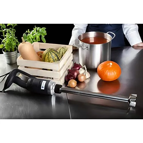 Royal Catering RCSM-500-500P 4